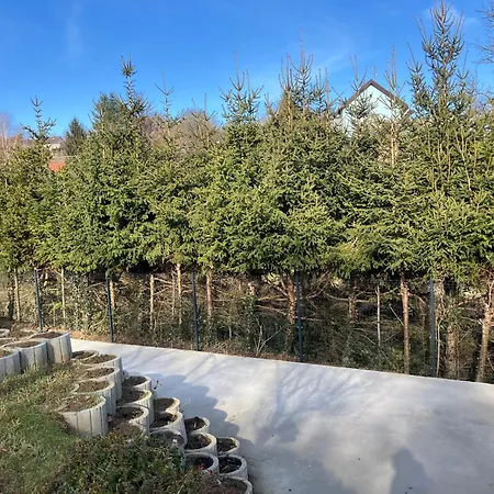 Borostyan Vendeghaz - * 佐洛埃格塞格