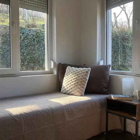 度假居 Borostyan Vendeghaz - *